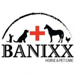 Banixx-Logo-min